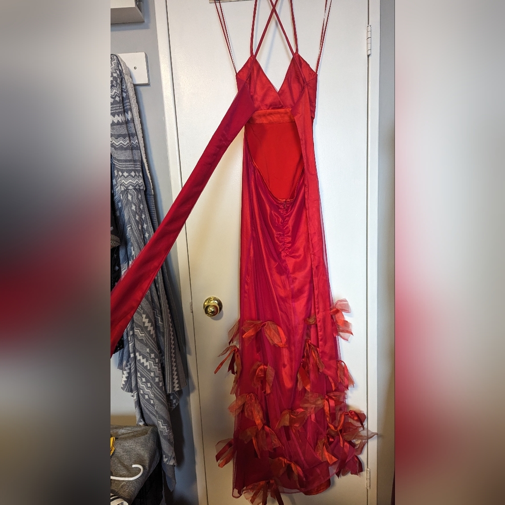 Sunning Unworn Pam Chorley Designer Gown - Picture 6 of 6